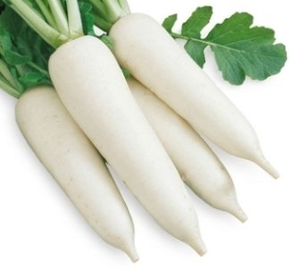 முள்ளங்கி